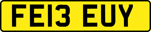 FE13EUY