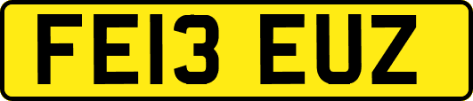 FE13EUZ