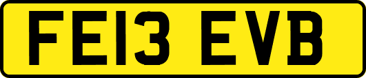 FE13EVB