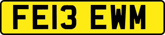 FE13EWM