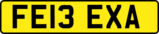FE13EXA