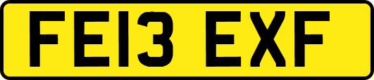 FE13EXF