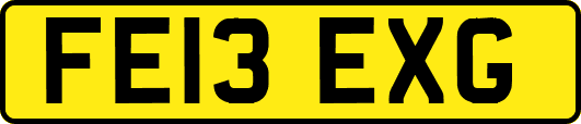 FE13EXG