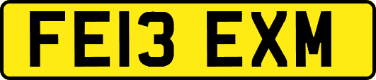 FE13EXM