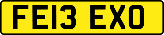 FE13EXO