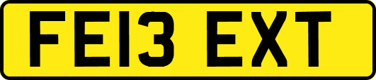 FE13EXT