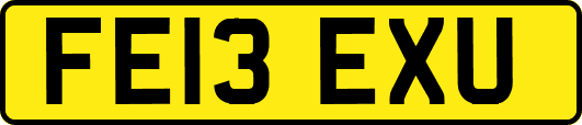FE13EXU