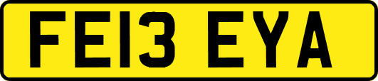 FE13EYA