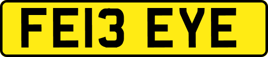 FE13EYE