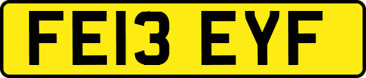 FE13EYF