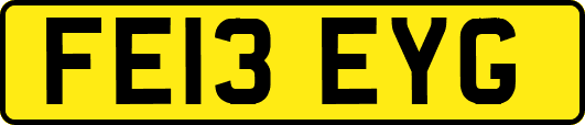 FE13EYG