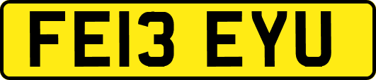 FE13EYU