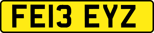 FE13EYZ