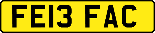 FE13FAC