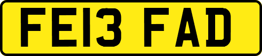 FE13FAD