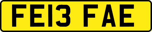 FE13FAE