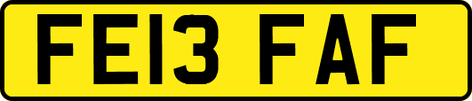 FE13FAF