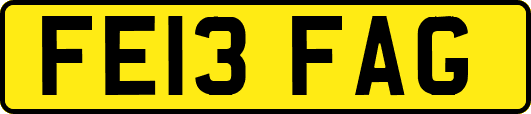 FE13FAG