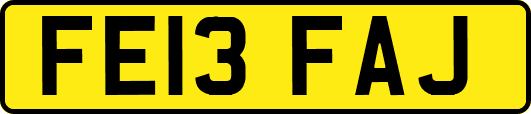 FE13FAJ