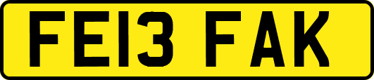 FE13FAK