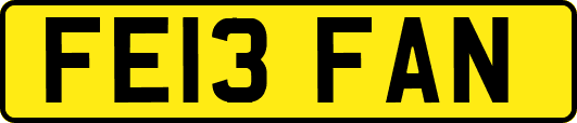FE13FAN