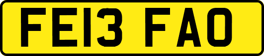 FE13FAO