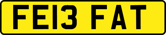 FE13FAT