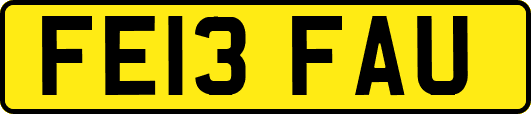 FE13FAU