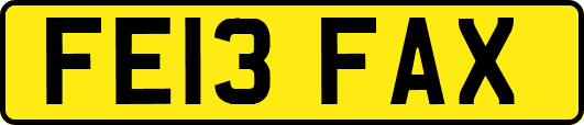 FE13FAX