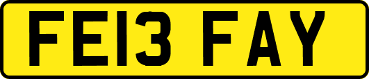 FE13FAY