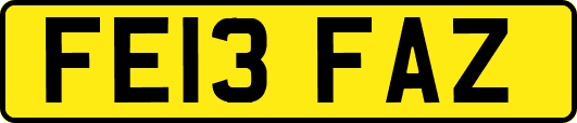 FE13FAZ