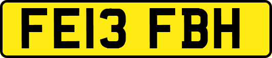 FE13FBH