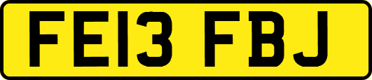 FE13FBJ