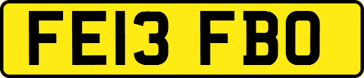 FE13FBO