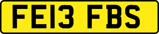 FE13FBS