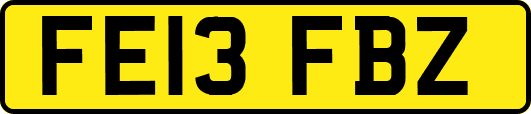 FE13FBZ