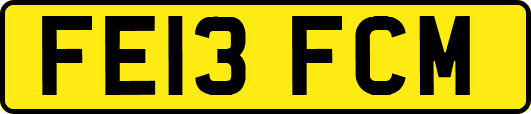 FE13FCM