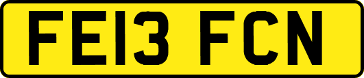 FE13FCN