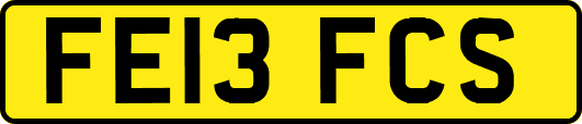 FE13FCS