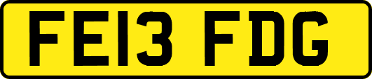 FE13FDG