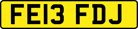 FE13FDJ