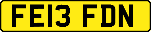 FE13FDN