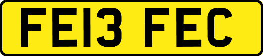 FE13FEC