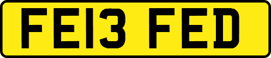 FE13FED