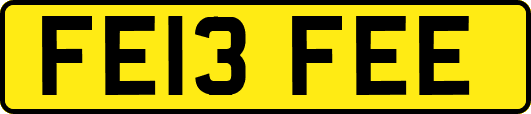 FE13FEE