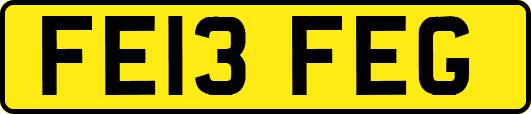 FE13FEG