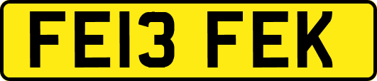 FE13FEK