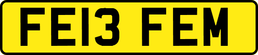 FE13FEM