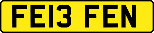 FE13FEN