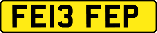 FE13FEP